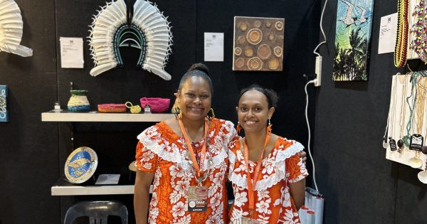 Torres art and culture shines at Darwin Aboriginal Art Fair