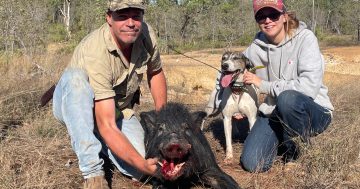 Teen hunter behind the scenes at this year’s Hog Hunt