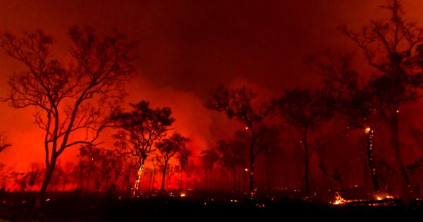 Suspected arson sparks blazes on Cape York conservation property