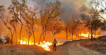 National parks-lit blaze torches Lakeland properties