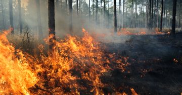 Cape York NRM calls for local fire management knowledge