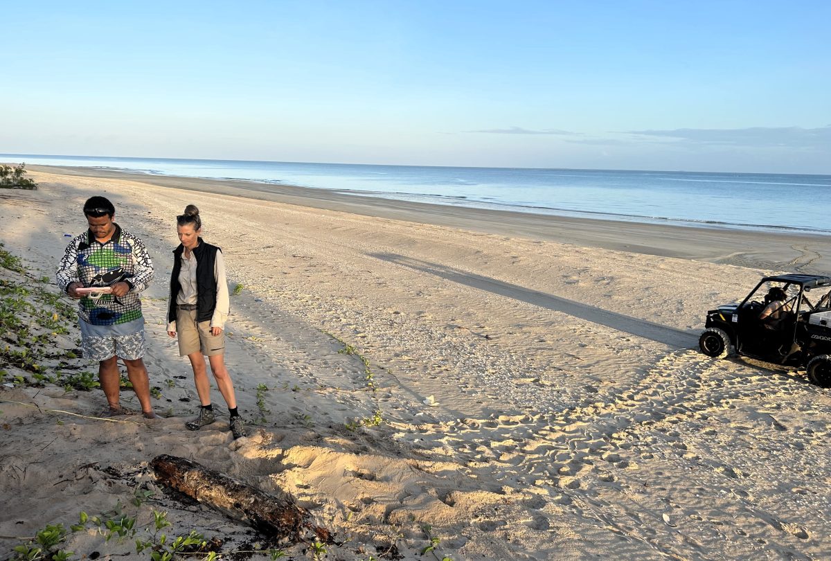 A man and a woman stand on a beach looking at a turtle nest.