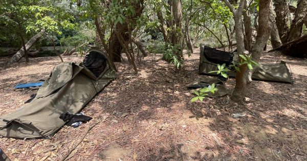 QPWS fines Cape York campers after illegal fire in national park