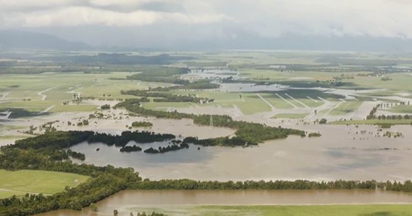 Support extended for councils, businesses and individuals affected by Tropical Cyclone Jasper