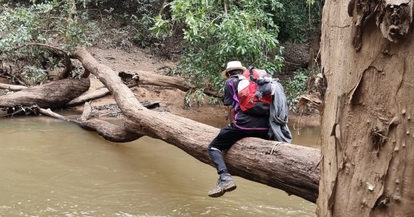 Tourists survive seven-day Cape York ordeal following Google Maps failure