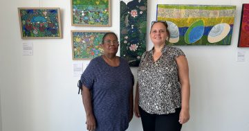 UMI Arts exhibition season kicks off with two Cape York artists