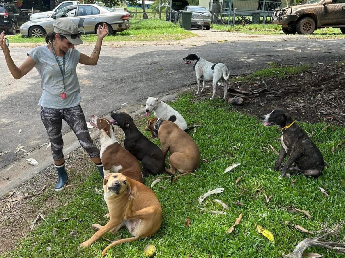 Nikki Gong hangs out with community dogs