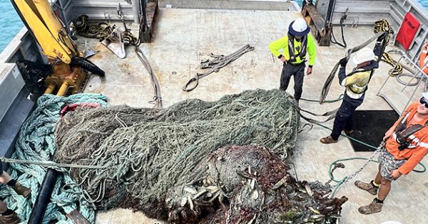 Marine debris project nets 2.4t of Gulf ghost gear