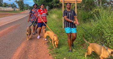 Furry companions provide best homesickness remedy in Weipa