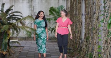 Community gives thumbs up to virtual home care: report