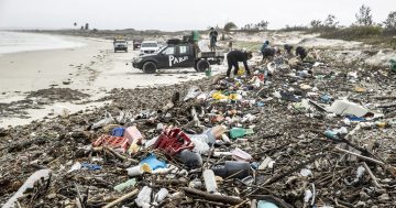Wujal Wujal, marine groups celebrate $1.2m Jasper clean-up funding
