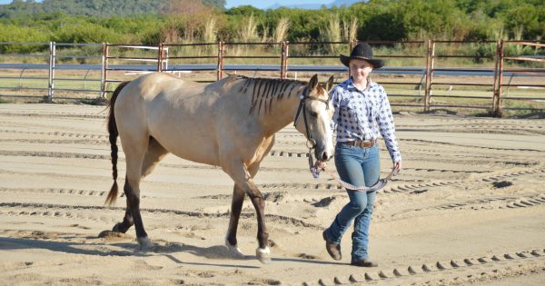 Cooktown's pooches, ponies shine during Discovery Festival shows