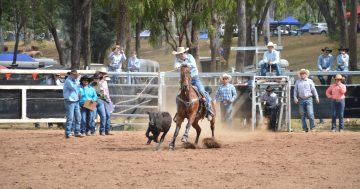 GALLERY: Sizzling program draws bumper crowd to Laura for 2024 rodeo, campdraft spectacle