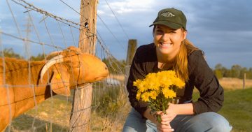Cooktown-bred singer honours hometown with latest release