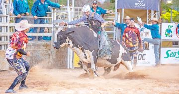 Nominations ready to open for Weipa Rodeo showdown