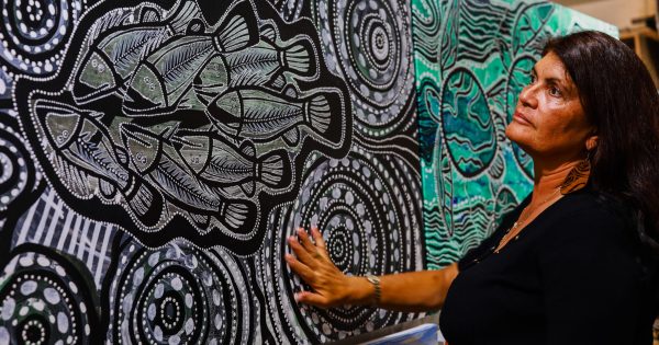 Cape artist continues push for state’s unique Aboriginal art style