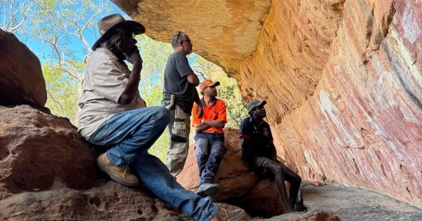 Recognition of nature's protectors on World Ranger Day