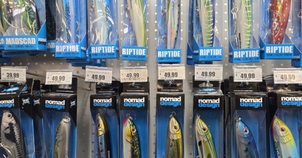 Letter from the Editor: Lures have been cast, but will voters take the bait?