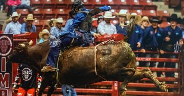 Snell sets sights on next ride after USA rodeo exposure