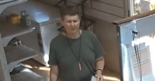 Police confirm missing NSW woman crossed Jardine River