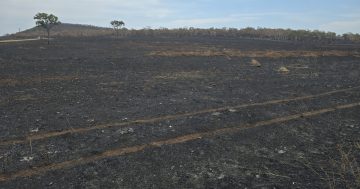 Use recent lucky escapes to become bushfire aware: mayor