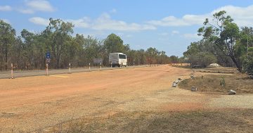 Questions remain over LNP plan to put bite back into Cape York biosecurity