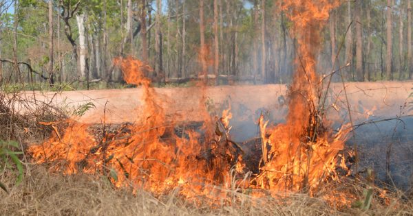 Cape York landholders call for government to open wallet for ‘godsend’ fire mapping tool