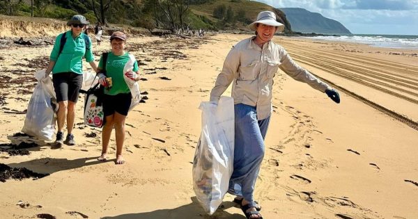 Hard-hitting truths and surprise find at annual Cooktown beach clean-up