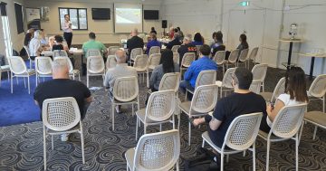Letter from the Editor: 'Collaborative diversity' must be Cape's 2025 buzzword
