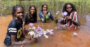 Landscapes, larrikins of Aurukun in focus for photo competition
