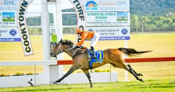 Cooktown set to gallop towards grand 150th celebration