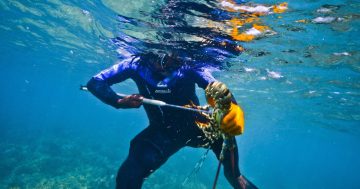 TSRA launches first phase of project to support TIB fishers