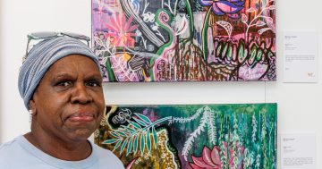 Summer goes on show as UMI Arts unveils final 2024 exhibition