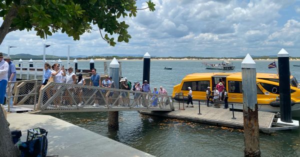 Cruise passengers soak up Cooktown experience during stopover