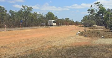 AgForce calls for action as Cape York biosecurity hole remains