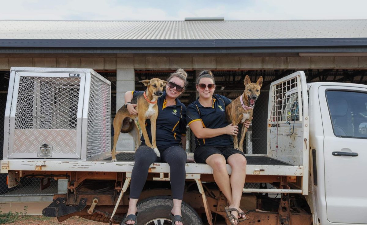 CAPS volunteers and dogs