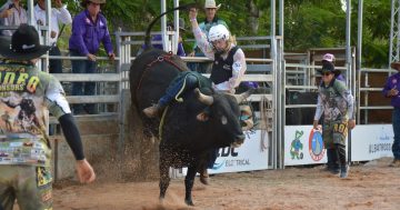 Rodeo saddles up to celebrate 20 years of bucking thrills