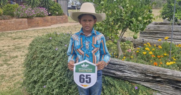 Aspiring Hope Vale cowboy rides his way to national finals