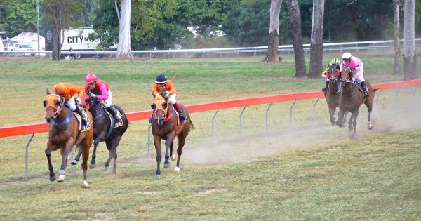 Date set for 2025 Laura thoroughbred showdown