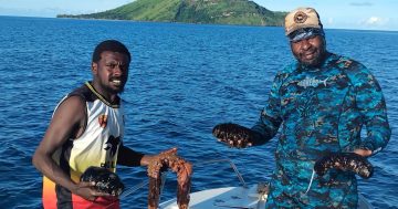 Torres Strait fishers celebrate record sea cucumber season