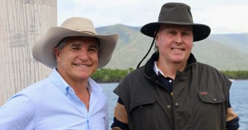 KAP candidate calls for Cape to be cane furniture powerhouse