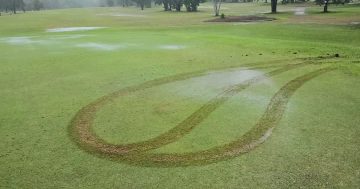 Weipa course in 'terrific' condition ahead of Open, despite senseless vandalism