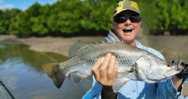 Local characters inspire remote crime tale as Weipa Crocodile trilogy concludes