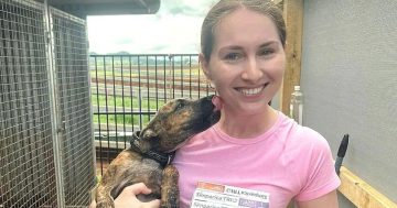 New era for Remote Animal Assistance after social media plea