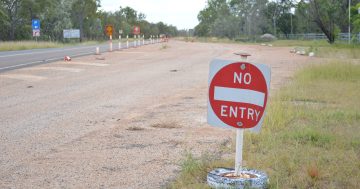 Eight months on, Cape's biosecurity question remains unanswered