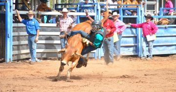 Competitors ready to saddle up for Laura campdraft glory