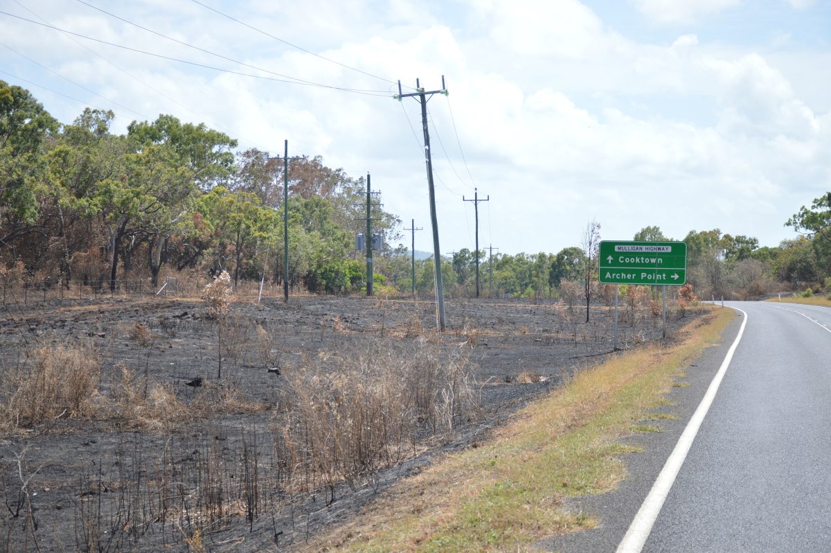 Cape York post-fire