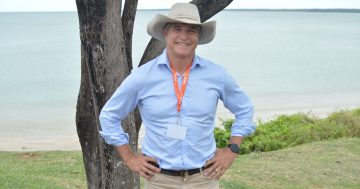 Cape could become leader in biofuel race: Katter