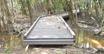 Public safety concerns postpone Cooktown boardwalk unveiling