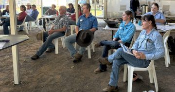 Laura forum puts Cape grazing in spotlight
